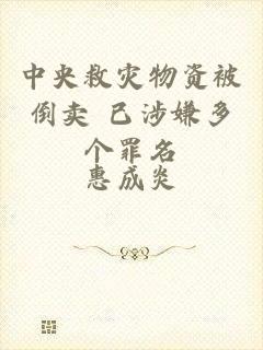 中央救灾物资被倒卖 已涉嫌多个罪名
